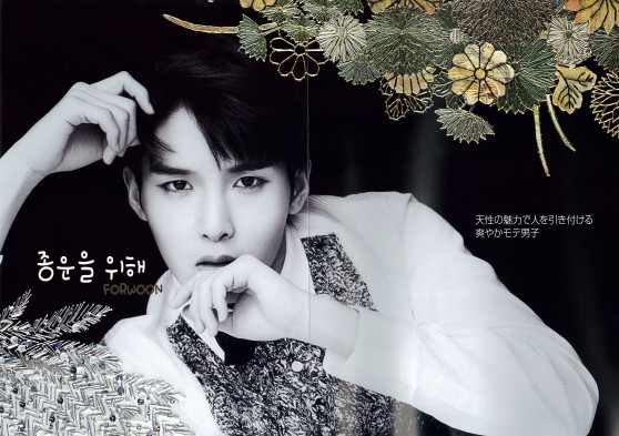 Glam Ryeowook